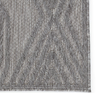 Jaipur Living Tajiri By Nikki Chu Adana TNC04 Gray Area Rug