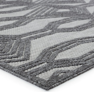 Jaipur Living Tajiri By Nikki Chu Adana TNC05 Dark Gray/Silver Area Rug