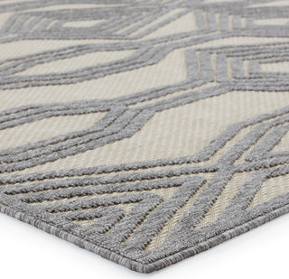 Jaipur Living Tajiri By Nikki Chu Adana TNC06 Cream/Gray Area Rug