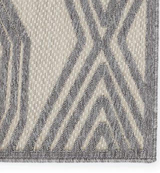 Jaipur Living Tajiri By Nikki Chu Adana TNC06 Cream/Gray Area Rug