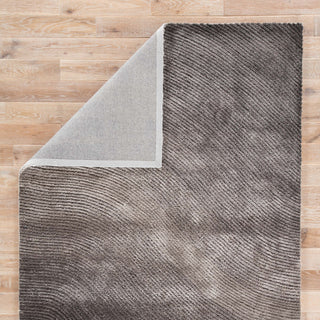 Jaipur Living Track TRA04 Gray Area Rug