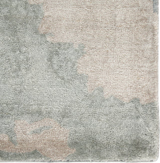 Jaipur Living Transcend Glacier TRD04 Gray/Dark Blue Area Rug Corner Close Up Image