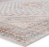 Jaipur Living Terra Canna TRR12 Multicolor/Light Gray Area Rug by Vibe Corner Image