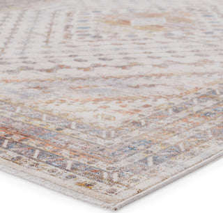 Jaipur Living Terra Canna TRR12 Multicolor/Light Gray Area Rug by Vibe Corner Image