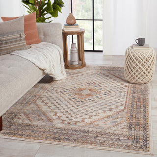 Jaipur Living Terra Canna TRR12 Multicolor/Light Gray Area Rug by Vibe Room Scene Image