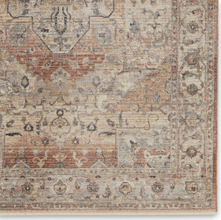 Jaipur Living Terra Starling TRR16 Tan/Pink Area Rug Detail Image