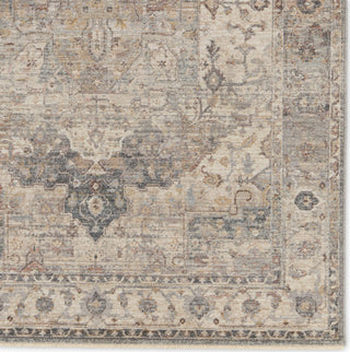 Jaipur Living Terra Starling TRR17 Tan/Slate Area Rug Detail Image