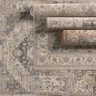 Jaipur Living Terra Starling TRR17 Tan/Slate Area Rug Collection Image