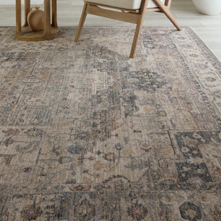 Jaipur Living Terra Starling TRR17 Tan/Slate Area Rug Main Image