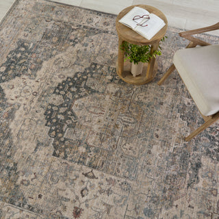 Jaipur Living Terra Starling TRR17 Tan/Slate Area Rug Main Image