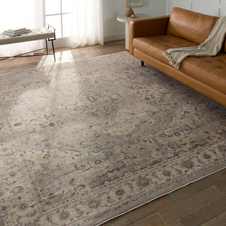 Jaipur Living Terra Starling TRR18 Tan/Cream Area Rug Lifestyle Image Feature