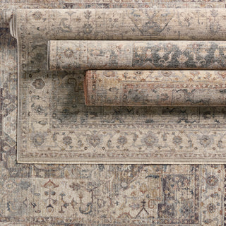 Jaipur Living Terra Starling TRR18 Tan/Cream Area Rug Collection Image