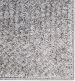 Jaipur Living Tresca Comi TRS05 Light Gray Area Rug