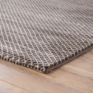 Jaipur Living Ventura Vinyasa VET01 Brown/Cream Area Rug