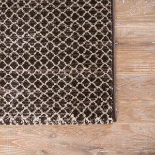 Jaipur Living Ventura Vinyasa VET01 Brown/Cream Area Rug