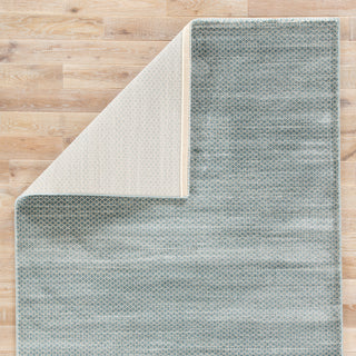 Jaipur Living Ventura Vinyasa VET02 Blue/Tan Area Rug