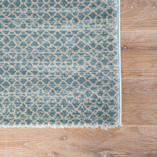 Jaipur Living Ventura Vinyasa VET02 Blue/Tan Area Rug