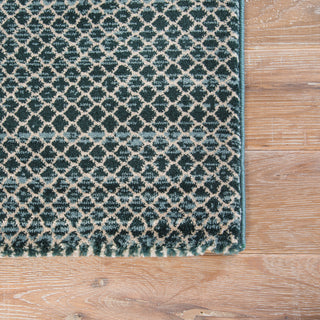 Jaipur Living Ventura Vinyasa VET03 Teal/Blue Area Rug