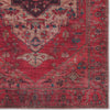 Jaipur Living Vindage Monroe Area Rug by Vibe Detail Image