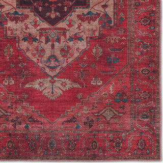 Jaipur Living Vindage Monroe Area Rug by Vibe Detail Image