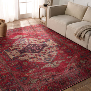 Jaipur Living Vindage Monroe Area Rug by Vibe Lifestyle Image Feature