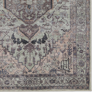 Jaipur Living Vindage Abbott Area Rug by Vibe Detail Image