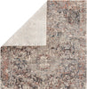 Jaipur Living Valentia Niran VLN02 Gray/Rust Area Rug