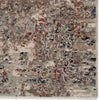 Jaipur Living Valentia Niran VLN02 Gray/Rust Area Rug