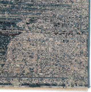 Jaipur Living Valentia Tolani VLN04 Blue/Gray Area Rug