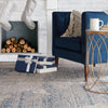Jaipur Living Valentia Tolani VLN04 Blue/Gray Area Rug Main Image