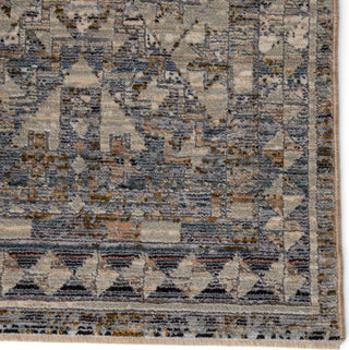 Jaipur Living Valentia Cashel VLN06 Gray/Dark Blue Area Rug