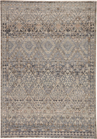 Jaipur Living Valentia Cashel VLN06 Gray/Dark Blue Area Rug