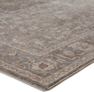 Jaipur Living Valentia Amaris VLN08 Gray/Cream Area Rug