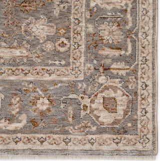 Jaipur Living Valentia Amaris VLN08 Gray/Cream Area Rug