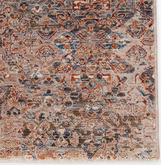 Jaipur Living Valentia Elianna VLN19 Tan/Rust Area Rug - Close Up