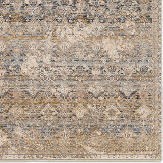 Jaipur Living Valentia Skylark VLN22 Gray/Cream Area Rug Detail Image