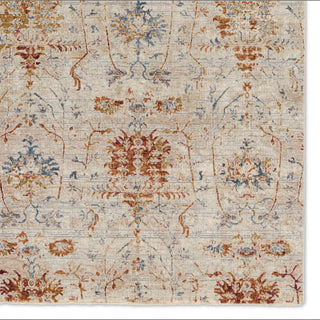 Jaipur Living Valentia Ozella VLN23 Taupe/Red Area Rug Detail Image