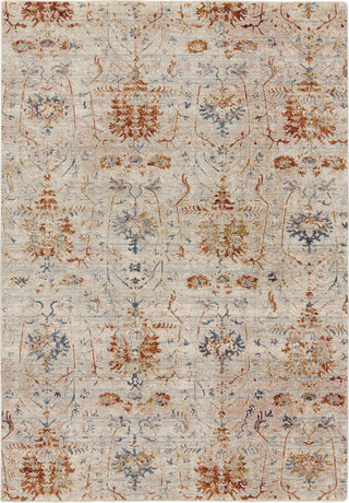 Jaipur Living Valentia Ozella VLN23 Taupe/Red Area Rug main image