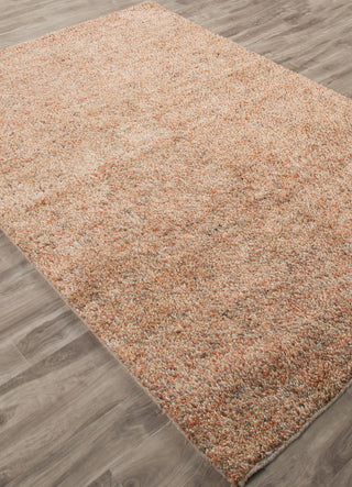 Jaipur Living Villa Rica VLR02 Orange/Gray Area Rug