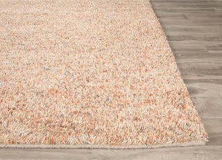 Jaipur Living Villa Rica VLR02 Orange/Gray Area Rug