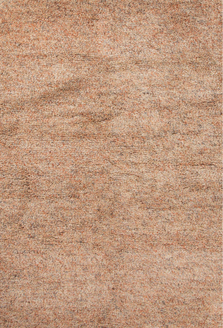 Jaipur Living Villa Rica VLR02 Orange/Gray Area Rug