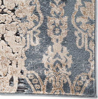 Jaipur Living Venice Roz VNC02 Blue/Beige Area Rug