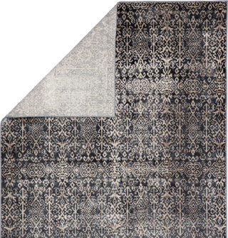 Jaipur Living Venice Rohto VNC04 Blue/Beige Area Rug