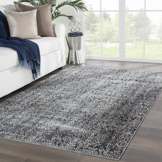 Jaipur Living Venice Rohto VNC04 Blue/Beige Area Rug Lifestyle Image Feature