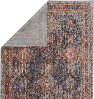 Jaipur Living Vanadey Rhosyn VND01 Blue/Red Area Rug by Vibe