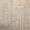 Jaipur Living Vienne Alain VNE01 Gray/Cream Area Rug