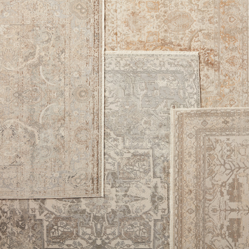 Jaipur Living Vienne Alain VNE01 Gray/Cream Area Rug