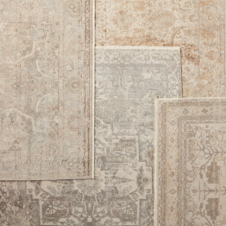 Jaipur Living Vienne Alain VNE01 Gray/Cream Area Rug