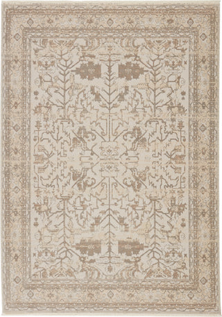 Jaipur Living Vienne Valentin VNE05 Cream/Light Gray Area Rug Main Image 