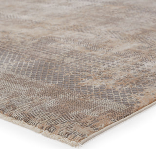 Jaipur Living Vienne Ezri VNE11 Gray/Tan Area Rug